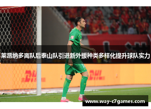 莱昂纳多离队后泰山队引进新外援种类多样化提升球队实力 莱昂纳多离队后泰山队引进新外援种类多样化提升球队实力
