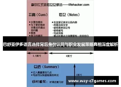 巴舒亚伊多语言选择背后身份认同与职业发展策略真相深度解析