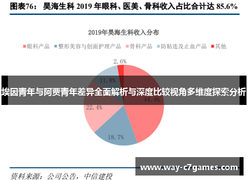 埃因青年与阿贾青年差异全面解析与深度比较视角多维度探索分析 埃因青年与阿贾青年差异全面解析与深度比较视角多维度探索分析