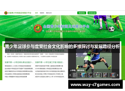 青少年足球参与度受社会文化影响的多维探讨与发展路径分析
