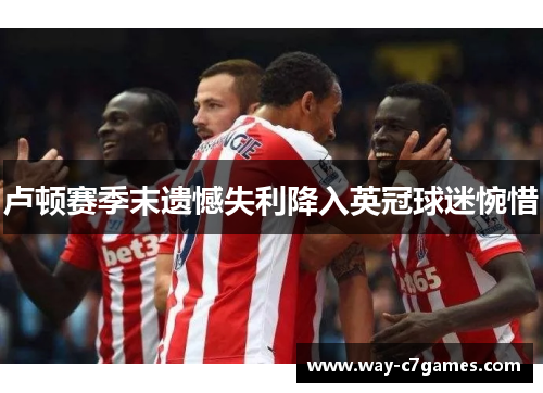 卢顿赛季末遗憾失利降入英冠球迷惋惜