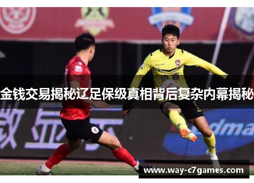金钱交易揭秘辽足保级真相背后复杂内幕揭秘